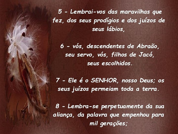 5 - Lembrai-vos das maravilhas que fez, dos seus prodígios e dos juízos de