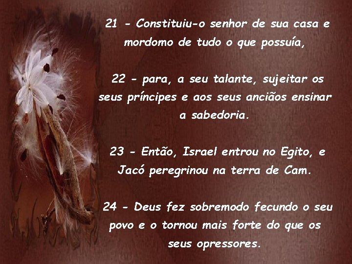 21 - Constituiu-o senhor de sua casa e mordomo de tudo o que possuía,