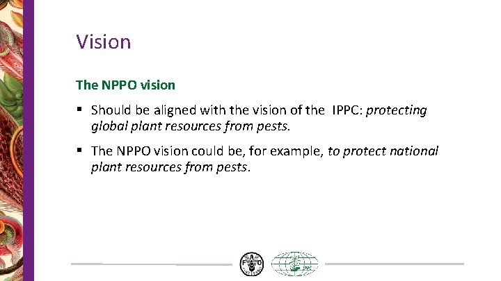 Vision The NPPO vision § Should be aligned with the vision of the IPPC: