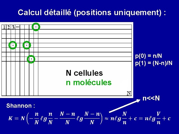 Calcul détaillé (positions uniquement) : p(0) = n/N p(1) = (N-n)/N N cellules n