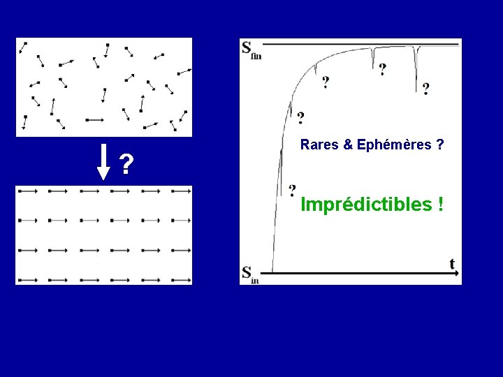 ? Rares & Ephémères ? Imprédictibles ! 