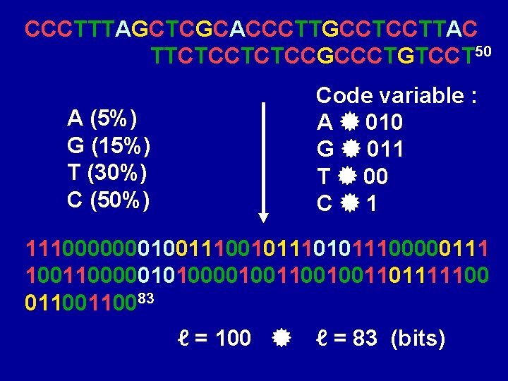 CCCTTTAGCTCGCACCCTTGCCTCCTTAC TTCTCCGCCCTGTCCT 50 Code variable : A 010 G 011 T 00 C 1