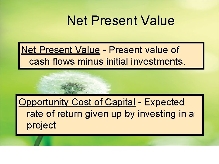 Net Present Value - Present value of cash flows minus initial investments. Opportunity Cost