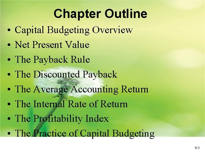 Chapter Outline • • Capital Budgeting Overview Net Present Value The Payback Rule The