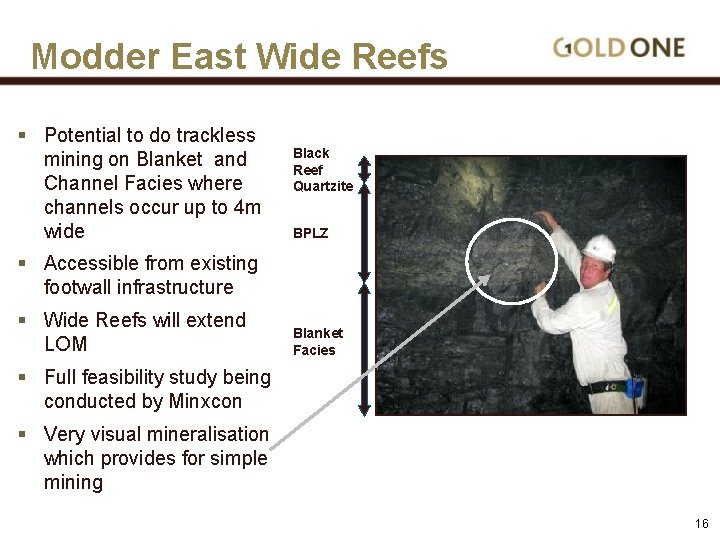 Modder East Wide Reefs § Potential to do trackless mining on Blanket and Channel