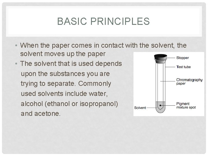 BASIC PRINCIPLES • When the paper comes in contact with the solvent, the solvent