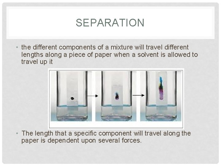 SEPARATION • the different components of a mixture will travel different lengths along a