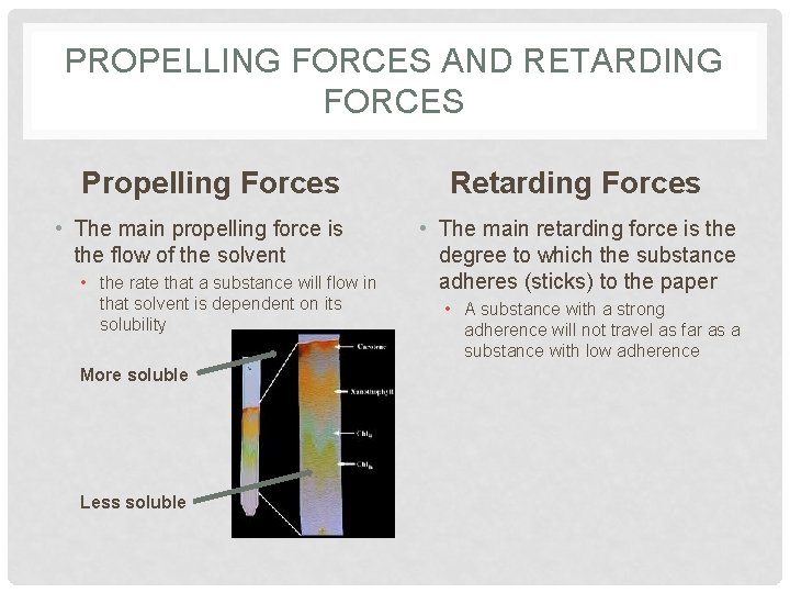 PROPELLING FORCES AND RETARDING FORCES Propelling Forces • The main propelling force is the