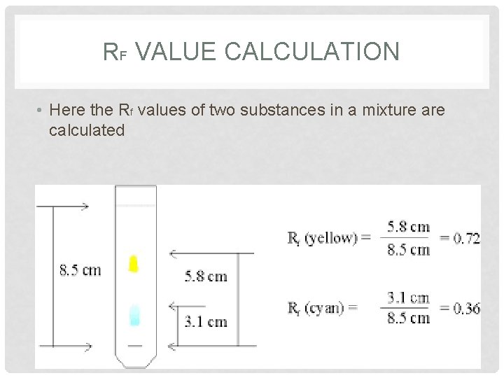 RF VALUE CALCULATION • Here the Rf values of two substances in a mixture