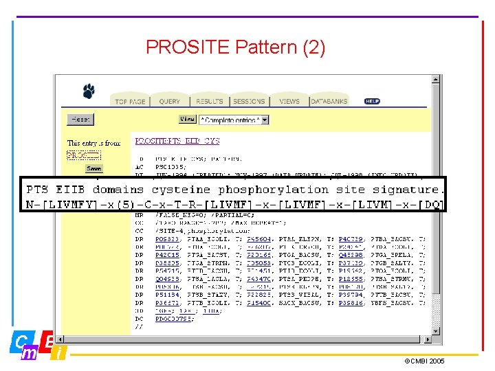 PROSITE Pattern (2) ©CMBI 2005 