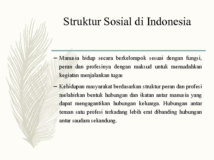 Struktur Sosial di Indonesia – Manusia hidup secara berkelompok sesuai dengan fungsi, peran dan