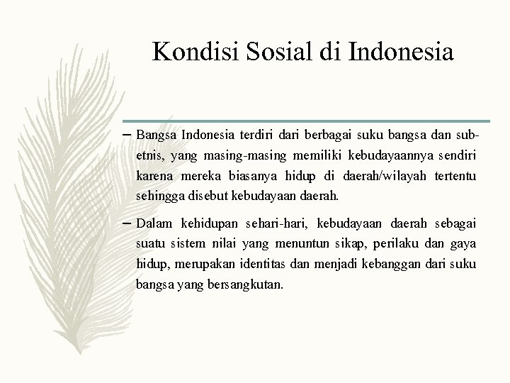 Kondisi Sosial di Indonesia – Bangsa Indonesia terdiri dari berbagai suku bangsa dan subetnis,