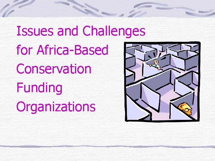 Issues and Challenges for Africa-Based Conservation Funding Organizations 