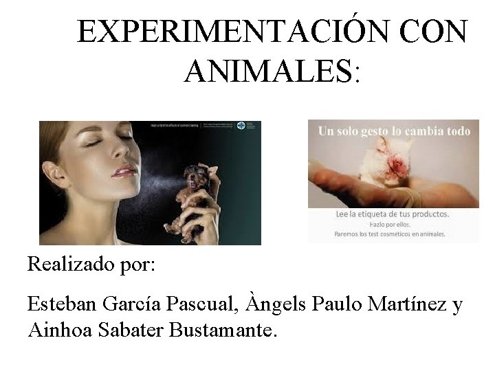 EXPERIMENTACIÓN CON ANIMALES: Realizado por: Esteban García Pascual, Àngels Paulo Martínez y Ainhoa Sabater