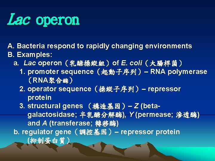 Lac operon A. Bacteria respond to rapidly changing environments B. Examples: a. Lac operon（乳醣操縱組）of