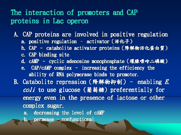 The interaction of promoters and CAP proteins in Lac operon A. CAP proteins are