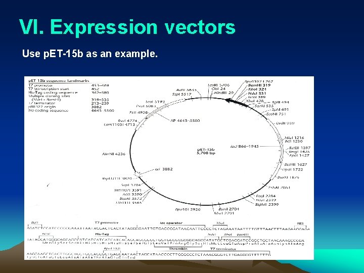 VI. Expression vectors Use p. ET-15 b as an example. 