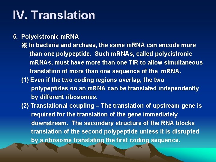 IV. Translation 5. Polycistronic m. RNA ※ In bacteria and archaea, the same m.