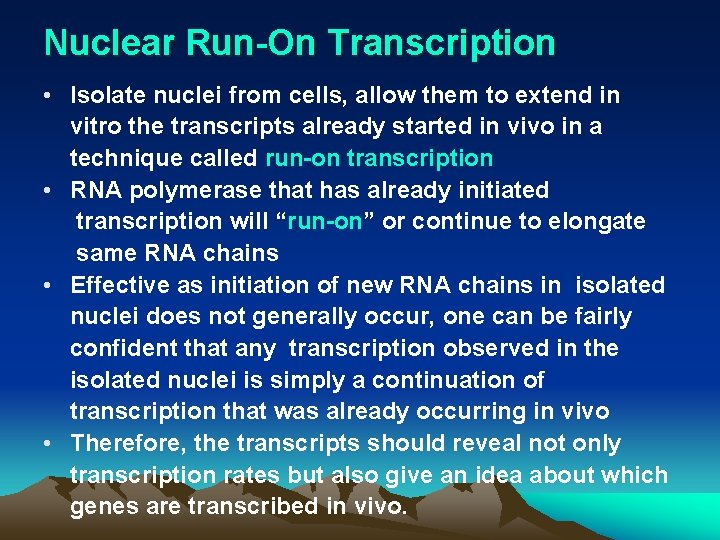 Nuclear Run-On Transcription • Isolate nuclei from cells, allow them to extend in vitro