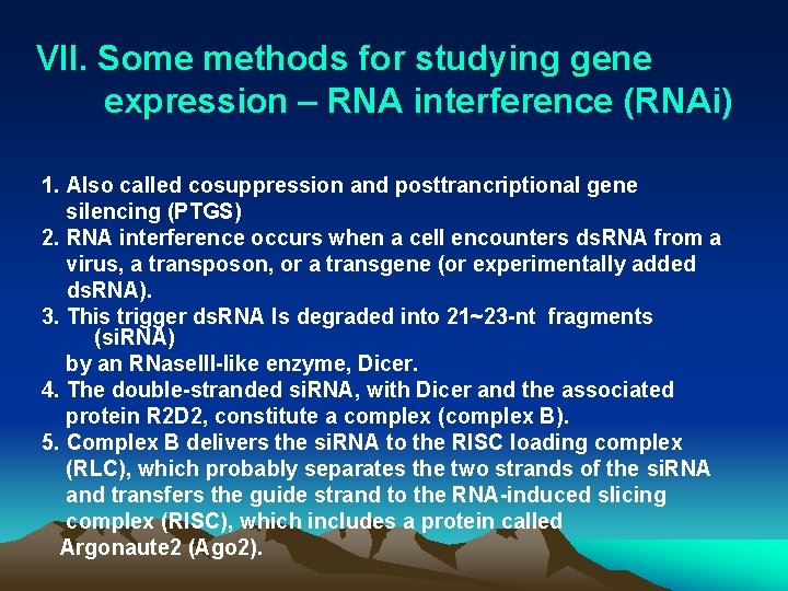 VII. Some methods for studying gene expression – RNA interference (RNAi) ( 1. Also