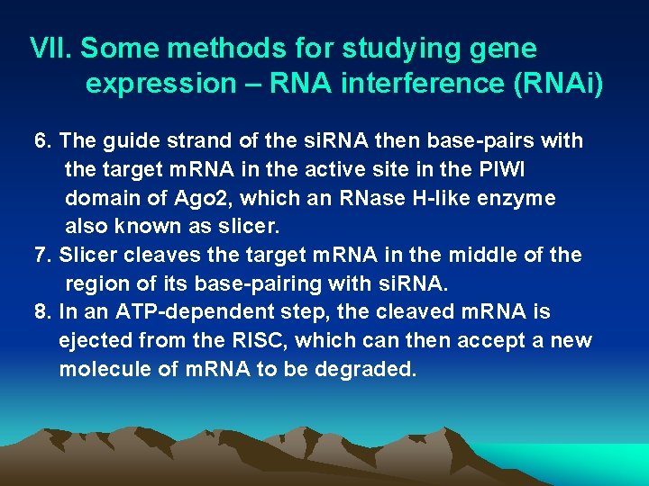 VII. Some methods for studying gene expression – RNA interference (RNAi) ( 6. The