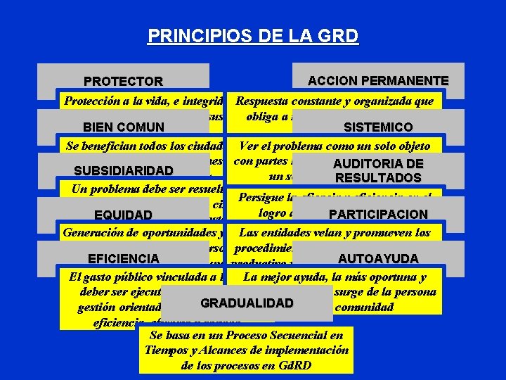 PRINCIPIOS DE LA GRD ACCION PERMANENTE PROTECTOR Protección a la vida, e integridad. Respuesta