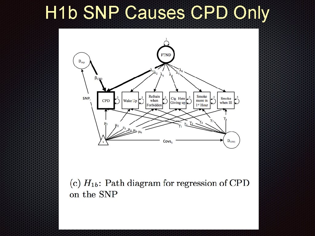 H 1 b SNP Causes CPD Only 