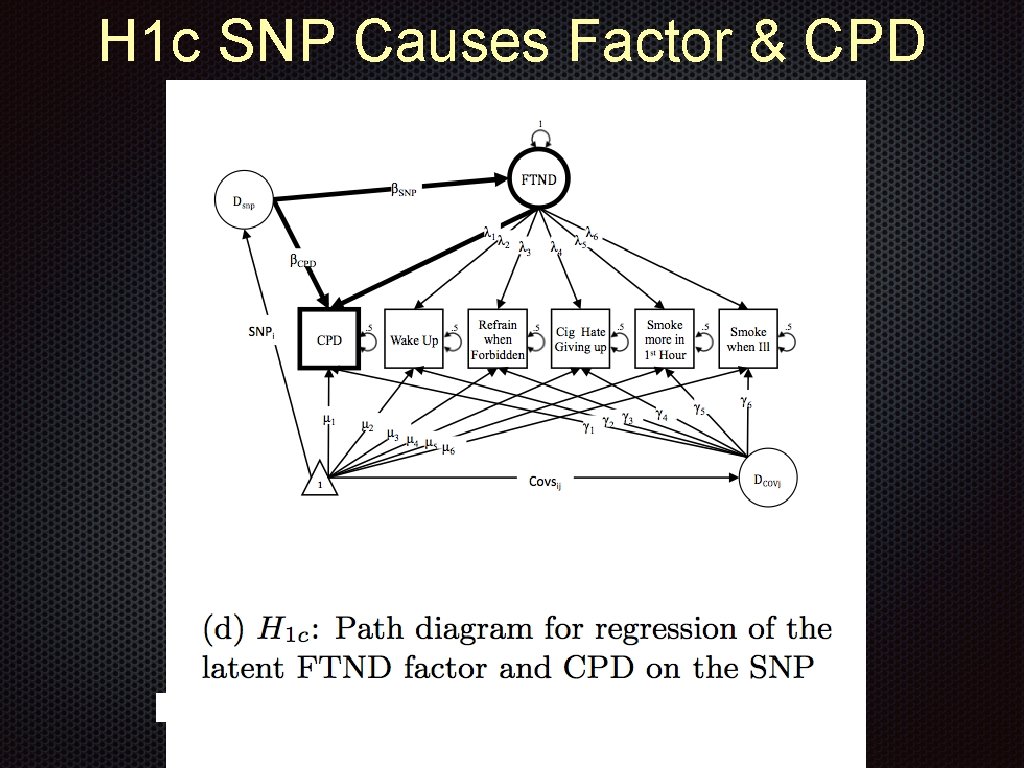 H 1 c SNP Causes Factor & CPD 