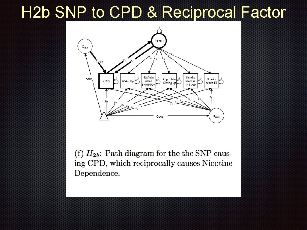 H 2 b SNP to CPD & Reciprocal Factor 