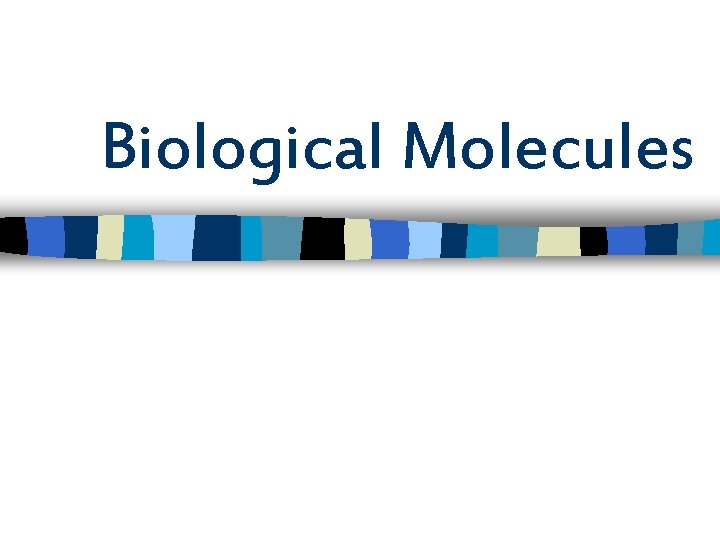 Biological Molecules 