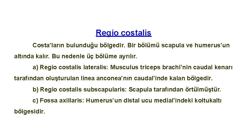 Regio costalis Costa’ların bulunduğu bölgedir. Bir bölümü scapula ve humerus’un altında kalır. Bu nedenle
