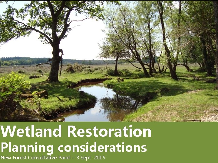 Wetland Restoration Planning considerations New Forest Consultative Panel – 3 Sept 2015 