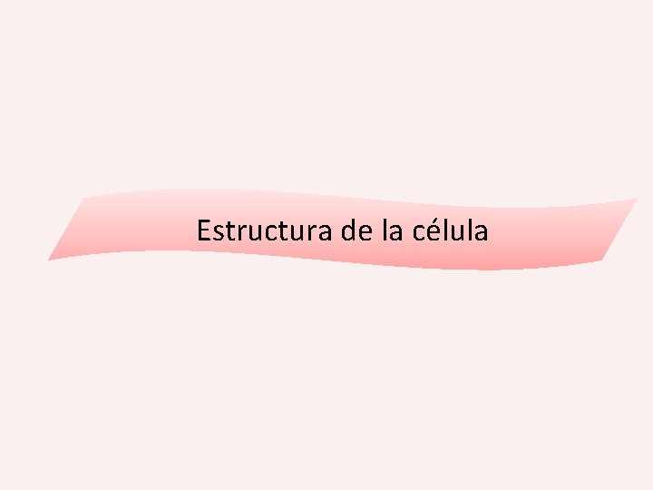 Estructura de la célula 