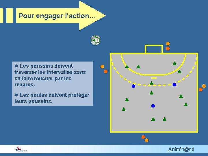 Pour engager l’action… l Les poussins doivent traverser les intervalles sans se faire toucher