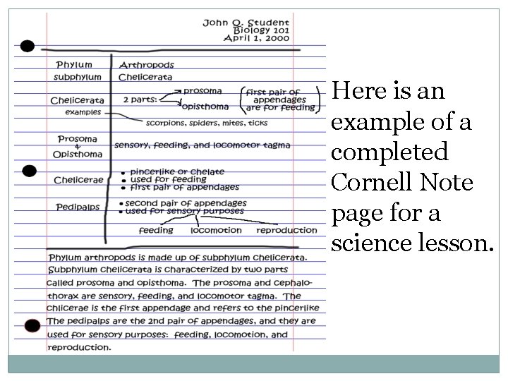 Here is an example of a completed Cornell Note page for a science lesson. Here is an example of a completed Cornell Note page for a science lesson.