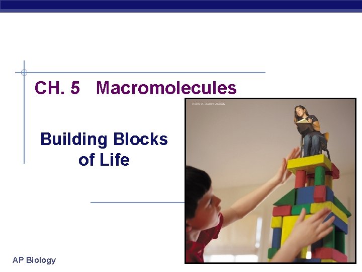 CH. 5 Macromolecules Building Blocks of Life AP Biology 2007 -2008 