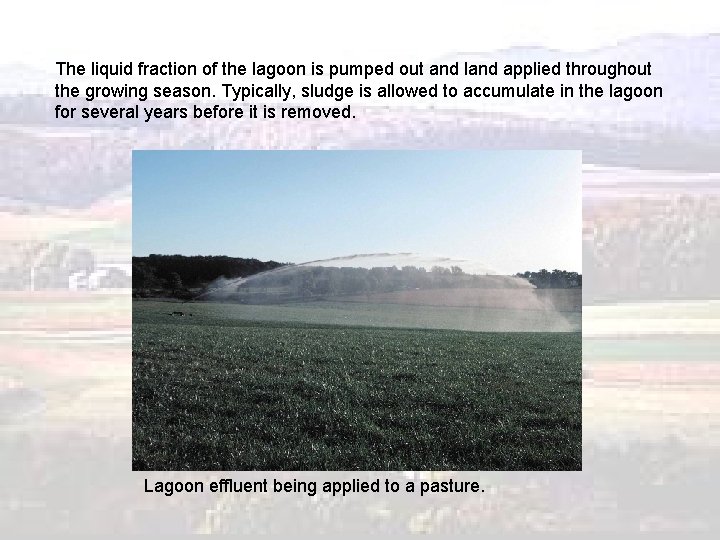 The liquid fraction of the lagoon is pumped out and land applied throughout the