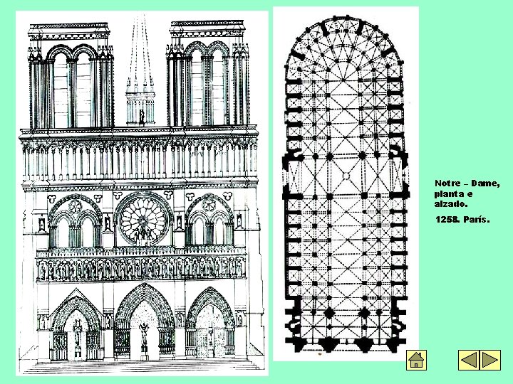Notre – Dame, planta e alzado. 1258. París. 