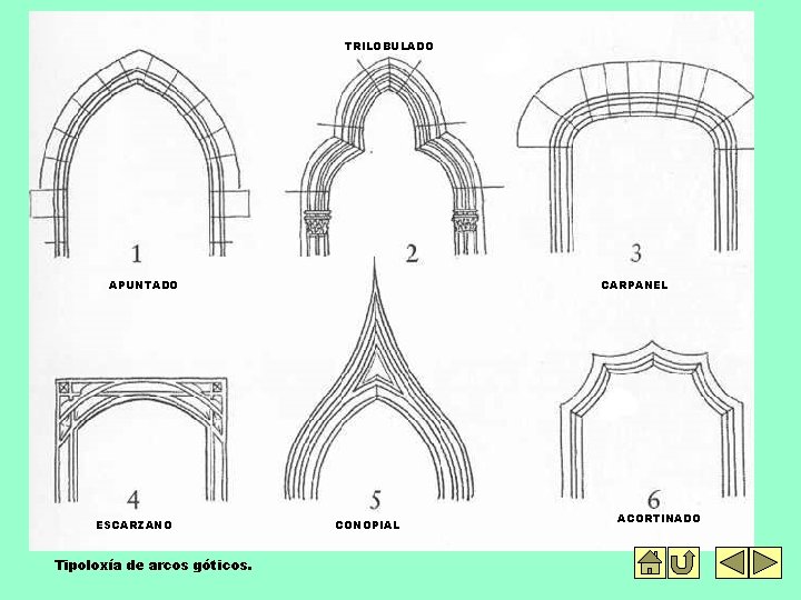 TRILOBULADO APUNTADO ESCARZANO Tipoloxía de arcos góticos. CARPANEL CONOPIAL ACORTINADO 