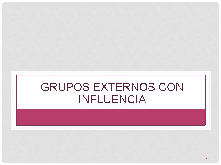 GRUPOS EXTERNOS CON INFLUENCIA 12 