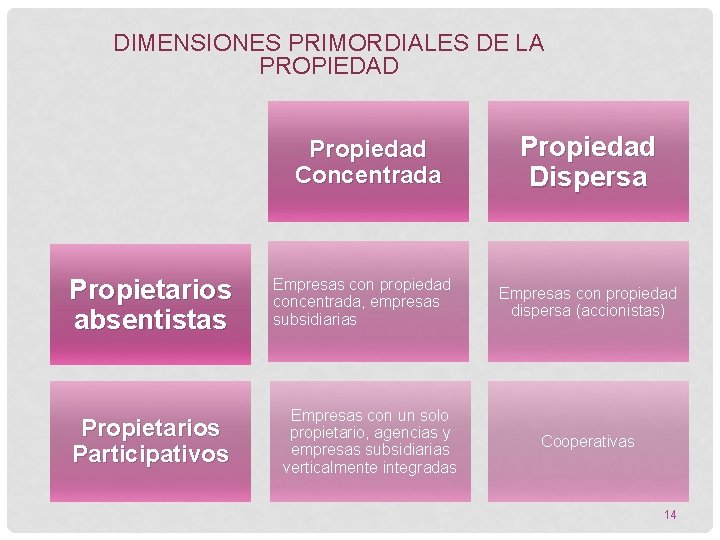 DIMENSIONES PRIMORDIALES DE LA PROPIEDAD Propiedad Concentrada Propietarios absentistas Propietarios Participativos Empresas con propiedad