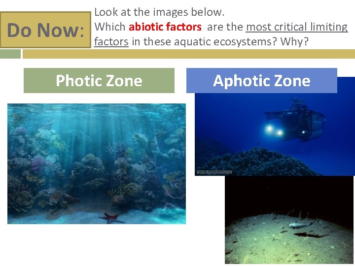 Do Now: Look at the images below. Which abiotic factors are the most critical