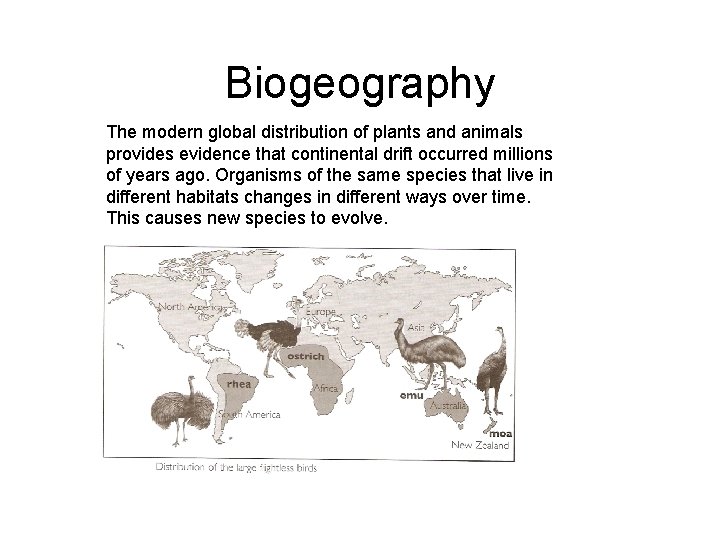 Biogeography The modern global distribution of plants and animals provides evidence that continental drift