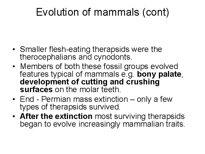 Evolution of mammals (cont) • Smaller flesh-eating therapsids were therocephalians and cynodonts. • Members