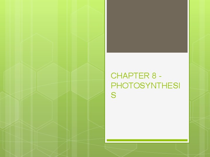 CHAPTER 8 PHOTOSYNTHESI S 