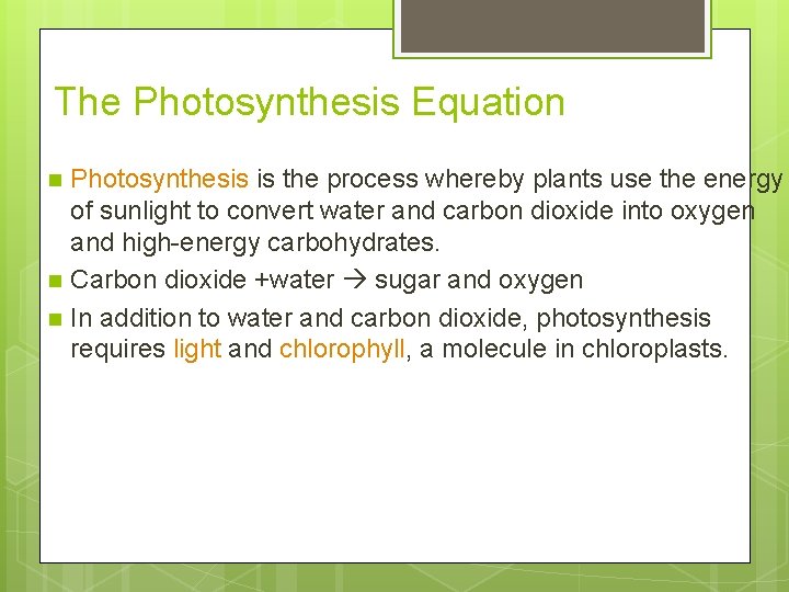The Photosynthesis Equation n Photosynthesis is the process whereby plants use the energy of