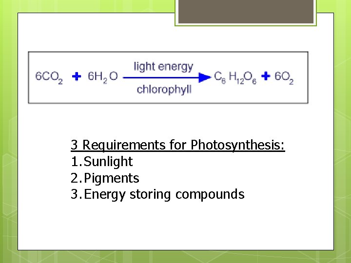 The Photosynthesis Equation 3 Requirements for Photosynthesis: 1. Sunlight 2. Pigments 3. Energy storing