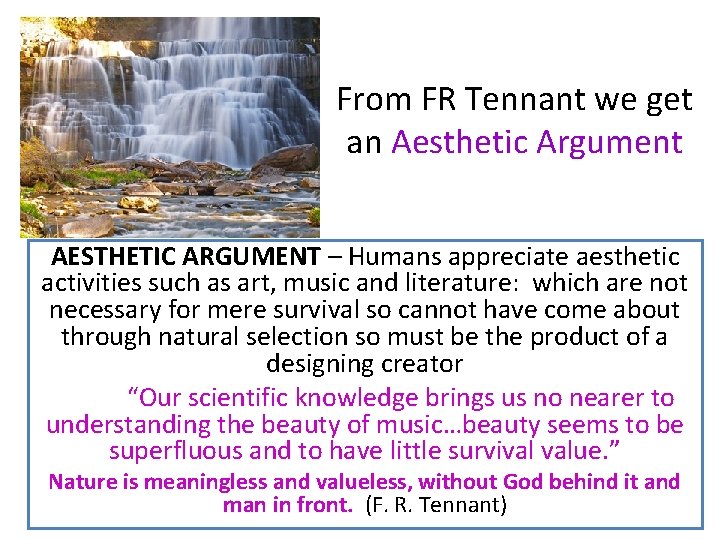From FR Tennant we get an Aesthetic Argument AESTHETIC ARGUMENT – Humans appreciate aesthetic