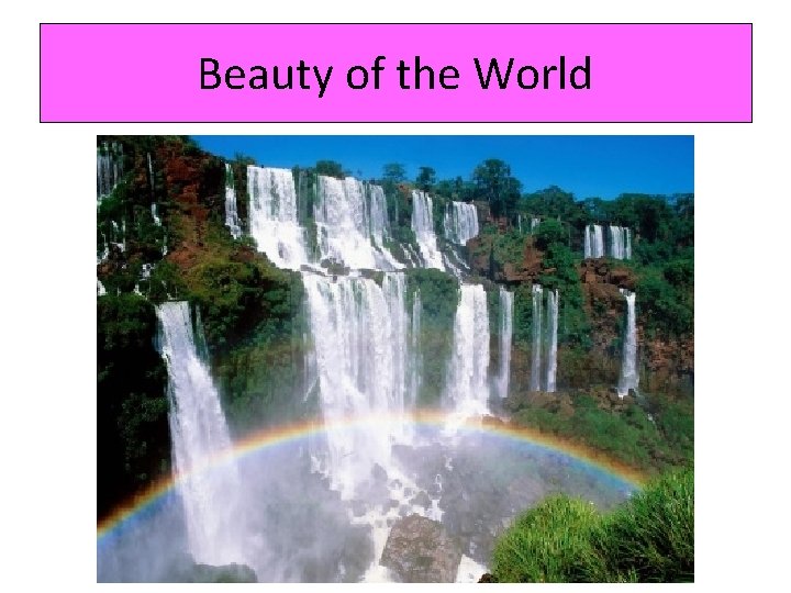 Beauty of the World 