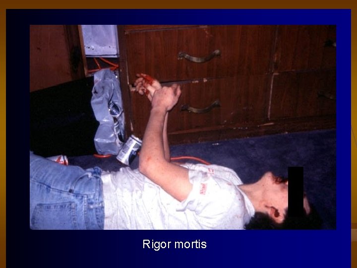 Rigor mortis CHE 113 36 